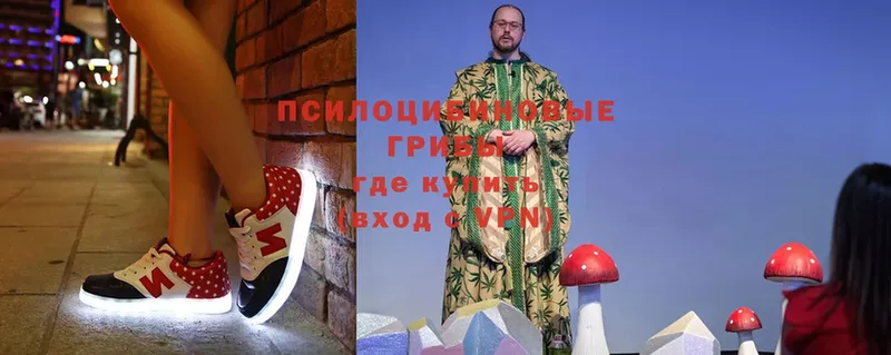 Псилоцибиновые грибы Magic Shrooms  Белебей 